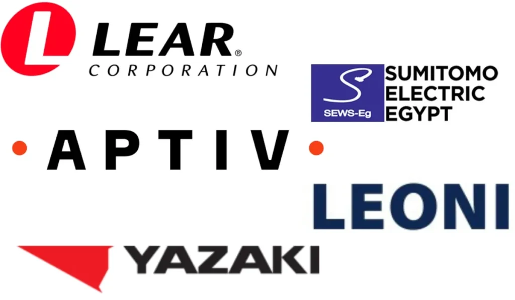 شركة الكابلاج بطنجة